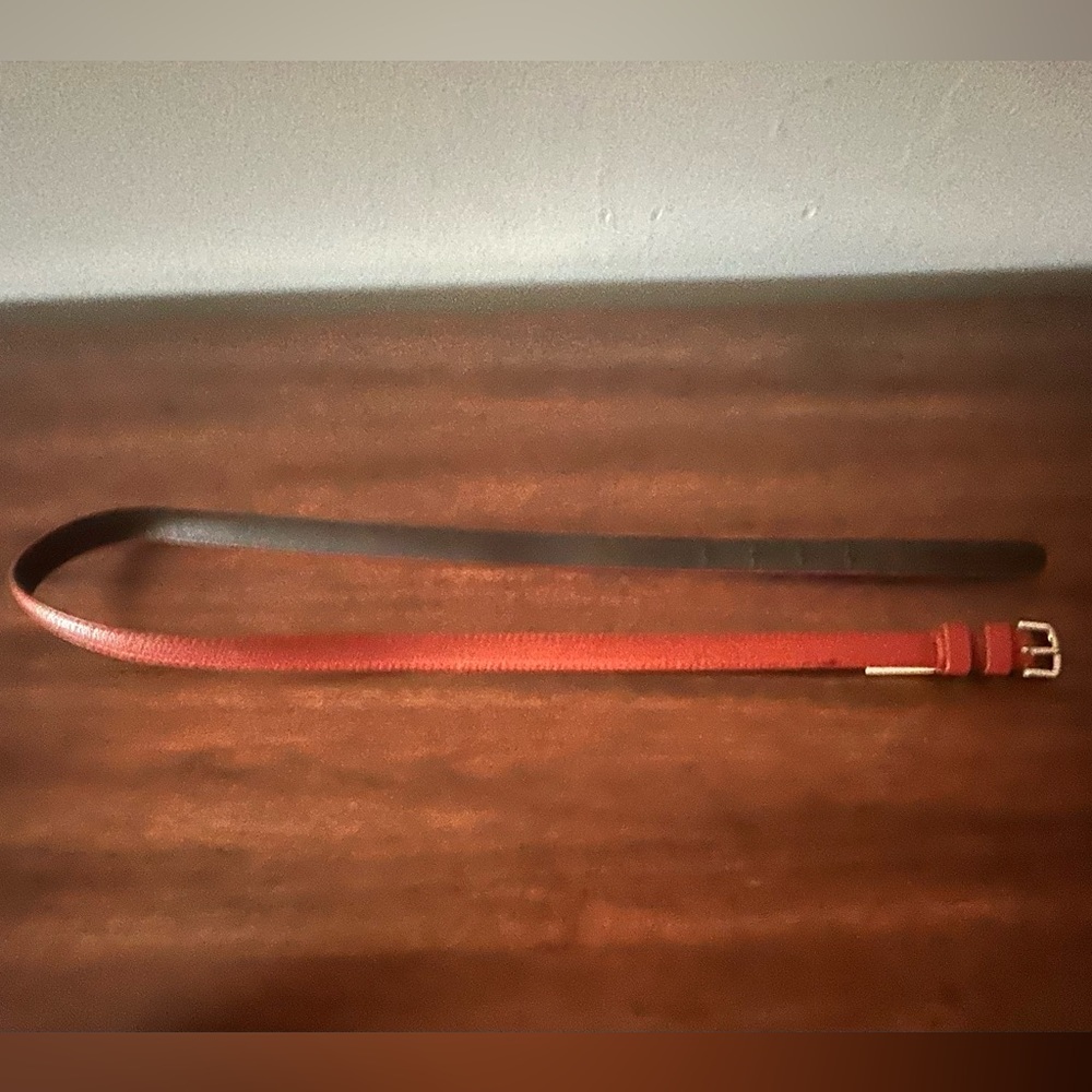 brown belt M/L